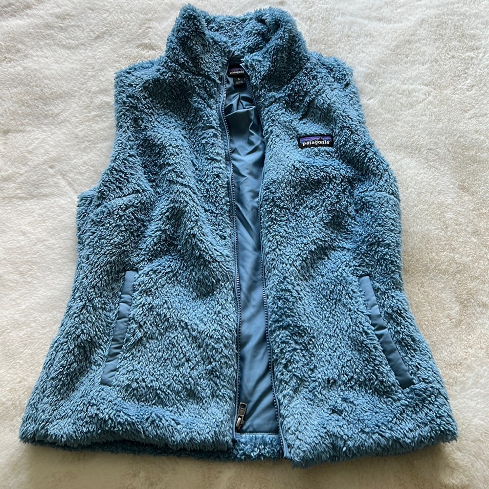 Blue Faux Fur Patagonia Vest